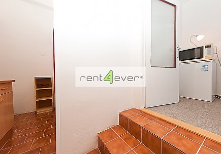 Pronájem bytu, Dejvice, Krocínovská 1+kk ve vile, 35 m2, po rekonstrukci, terasa, zahrada, zařízený, Rent4Ever.cz