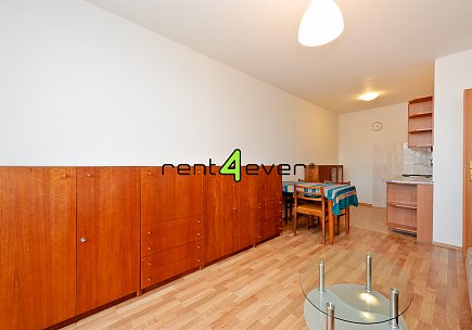 Pronájem bytu, Prosek, Litvínovská, 2+kk, 40 m2, lodžie, komora, částečně zařízený, Rent4Ever.cz