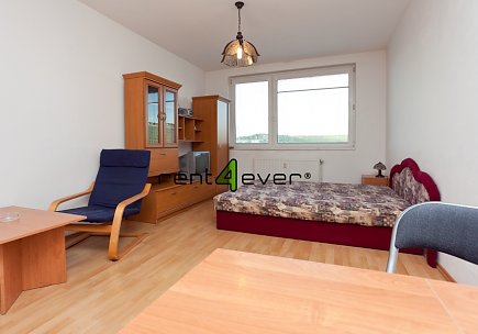 Pronájem bytu, Krč, Štúrova, byt 1+kk, 27 m2, v cihlová nástavbě, zařízený nábytkem, Rent4Ever.cz