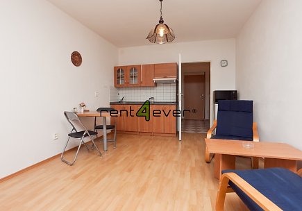 Pronájem bytu, Krč, Štúrova, byt 1+kk, 27 m2, v cihlová nástavbě, zařízený nábytkem, Rent4Ever.cz