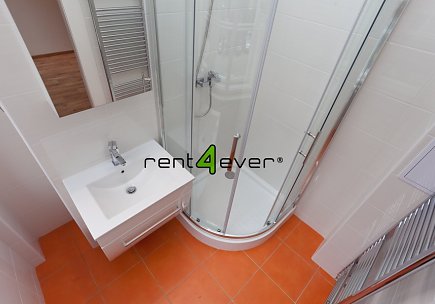 Pronájem bytu, Nusle, U družstva Repo, 2+1, 65 m2, cihla, sklep, 2 komory, Rent4Ever.cz