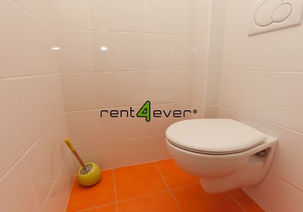 Pronájem bytu, Nusle, U družstva Repo, 2+1, 65 m2, cihla, sklep, 2 komory, Rent4Ever.cz