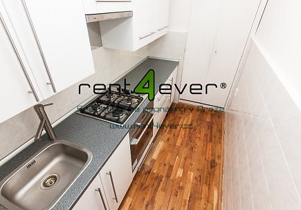 Pronájem bytu, Metro C Pankrác, U Nových domů II, 2+kk, 46 m2, cihla, zahrada, výtah, zařízený, Rent4Ever.cz