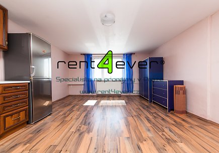 Pronájem bytu, Řepy, Krolmusova, byt 1+kk v RD, 22 m2, cihla, zahrada, částečně vybavený, Rent4Ever.cz