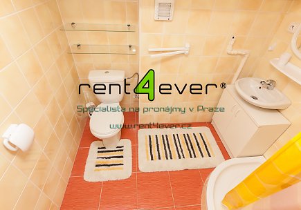 Pronájem bytu, Řepy, Krolmusova, byt 1+kk v RD, 22 m2, cihla, zahrada, vybavený nábytkem, Rent4Ever.cz