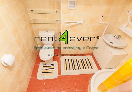 Pronájem bytu, Řepy, Krolmusova, byt 1+kk v RD, 22 m2, cihla, zahrada, částečně vybavený, Rent4Ever.cz