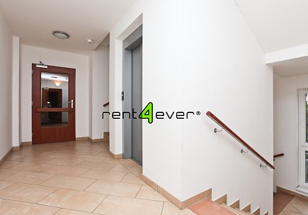 Pronájem bytu, Záběhlice, Mikanova,1+kk, 28 m2, sklep, výtah, garážové stání, vybavený nábytkem, Rent4Ever.cz