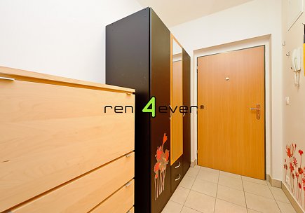Pronájem bytu, Hloubětín, Nepelova, 1+kk, 35 m2, cihla, novostavba, balkon, zařízený nábytkem, Rent4Ever.cz