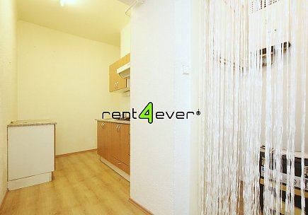 Pronájem bytu, Žižkov, V domově, byt 2+kk, 65 m2, komora, zahrada, nevybavený nábytkem, Rent4Ever.cz