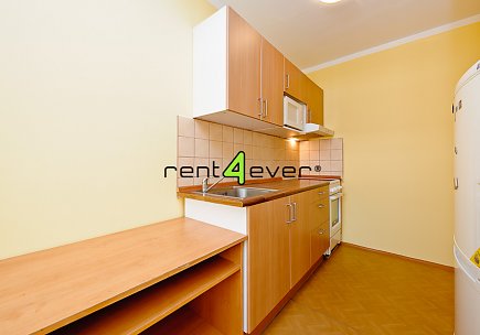 Pronájem bytu, Libeň, Podvinný mlýn, 1+1, 45 m2, lodžie, sklep, výtah, zařízený, Rent4Ever.cz