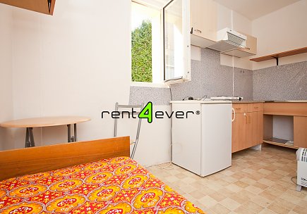 Pronájem bytu, Čakovice, Plajnerova, byt 1+kk v RD, 12 m2, společná zahrada, zařízený nábytkem, Rent4Ever.cz