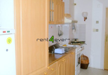Pronájem bytu, Petrovice, Euklidova, podkrovní pokoj v RD, 20 m2, cihla, zahrada, zařízený, Rent4Ever.cz