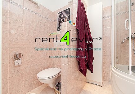 Pronájem bytu, Řepy, Nevanova, 1+kk, 38 m2, sklep, výtah, bezbariérový, pračka, lednice, zařízený, Rent4Ever.cz