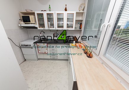 Pronájem bytu, Hloubětín, Kukelská, 1+kk, 35 m2, sklep, lodžie 10 m2, částečně zařízený nábytkem, Rent4Ever.cz