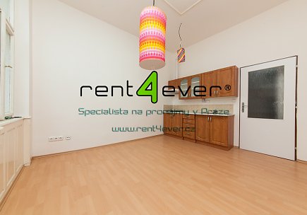 Pronájem bytu, Metro B Karlovo náměstí, byt 1+kk, 20 m2, cihla, výtah, sklep, nevybavený, Rent4Ever.cz