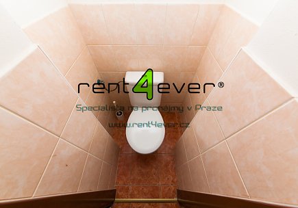 Pronájem bytu, Metro B Karlovo náměstí, byt 1+kk, 20 m2, cihla, výtah, sklep, nevybavený, Rent4Ever.cz