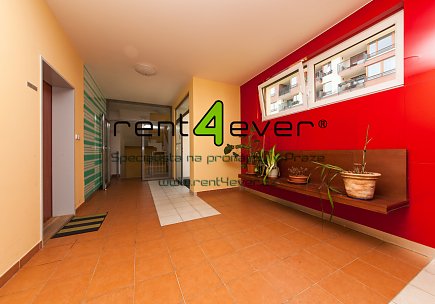 Pronájem bytu, Libeň, Nad Okrouhlíkem, novostavba, 2+kk, 48 m2, cihla, zahrada, nezařízený, Rent4Ever.cz