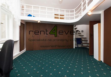 Pronájem bytu, Vinohrady, Rybalkova, byt 2+1, 56 m2, cihla, zařízený nábytkem, Rent4Ever.cz