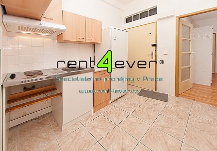 Pronájem bytu, Radlice, Na Farkáně, 2+1, 45 m2, cihla, sklep, zahrada, částečně zařízený, Rent4Ever.cz