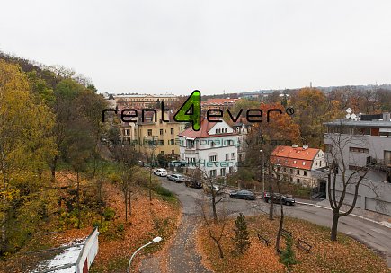 Pronájem bytu, Smíchov, Na Doubkové, 1+1, 63 m2, cihla, zahrada, garáž, nezařízený, Rent4Ever.cz