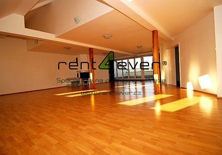 Pronájem bytu, Nusle, Svatoslavova, mezonetový 6+kk, 354 m2, cihla, balkon, 2x terasa, nezařízený, Rent4Ever.cz