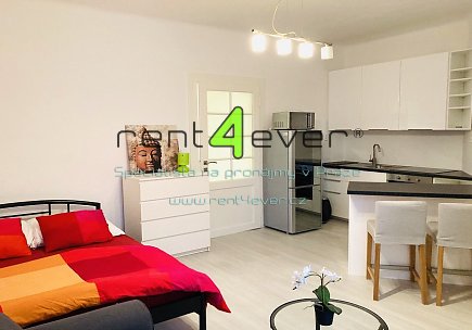 Pronájem bytu, Vršovice, Slovinská, 1+kk, 30 m2, cihla, výtah, pračka, lednice, zařízený, Rent4Ever.cz