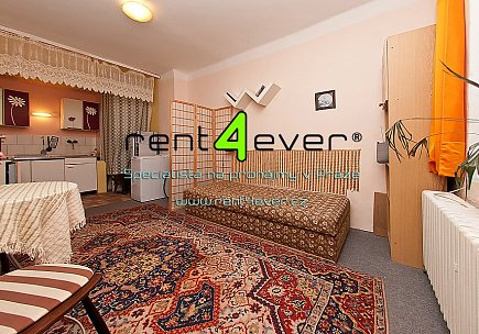 Pronájem bytu, Břevnov, 8. listopadu, byt v RD 1+kk, 30 m2, cihla, zahrada, pračka, zařízený, Rent4Ever.cz