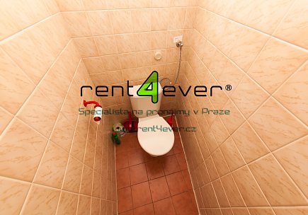 Pronájem bytu, Staré Město, Karlova, byt 2+1, 51 m2, cihla, pavlač, šatna, nevybavený nábytkem, Rent4Ever.cz