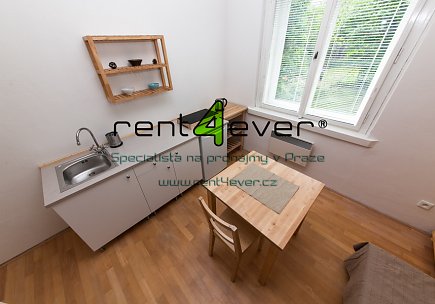 Pronájem bytu, Smíchov, K závěrce, byt 1+kk, 15 m2, cihla, zahrada, zařízený nábytkem, Rent4Ever.cz