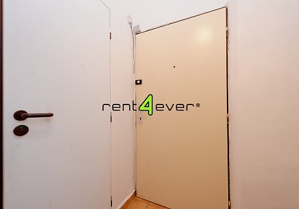 Pronájem bytu, Vysočany, Spojovací, byt 2+kk, 45 m2,  zahrada, nezařízený, Rent4Ever.cz