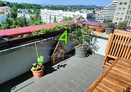 Pronájem bytu, Břevnov, Bělohorská, byt 1+1, 48 m2, cihla, terasa, komora, výtah, část. zařízený, Rent4Ever.cz
