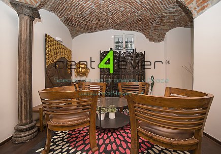 Pronájem bytu, Smíchov, U Pernikářky, 1+kk, 22 m2, cihla, výtah, komora, zařízený, Rent4Ever.cz