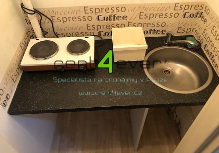 Pronájem bytu, Břevnov, Šlikova, suterénní byt 1+kk, 27 m2, cihla, nezařízený nábytkem, Rent4Ever.cz