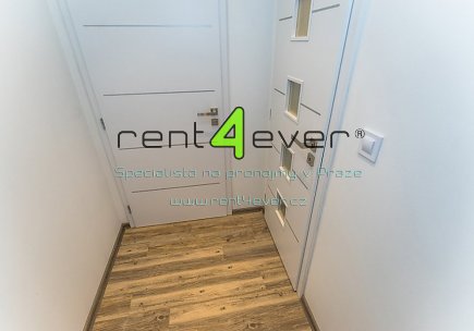 Pronájem bytu, Vinohrady, Francouzská, 1+kk, 30 m2, cihla, vestavěné patro, zahrada, nezařízený, Rent4Ever.cz