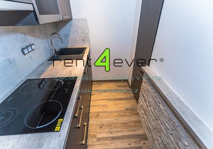 Pronájem bytu, Vinohrady, Francouzská, 1+kk, 30 m2, cihla, vestavěné patro, zahrada, nezařízený, Rent4Ever.cz