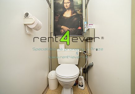Pronájem bytu, Řepy, Laudova, byt 1+kk, 37 m2, výtah, zařízený nábytkem, Rent4Ever.cz