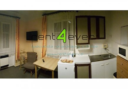Pronájem bytu, Petrovice, Edisonova, 1+kk v RD, 30 m2, cihla, po rekonstrukci, zařízený nábytkem, Rent4Ever.cz
