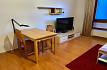Pronájem bytu, Vysočany, Jana Přibíka, byt 1+kk, 33 m2, novostavba, výtah, vybavený nábytkem, Rent4Ever.cz