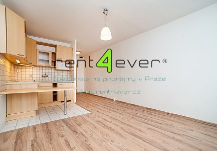 Pronájem bytu, Záběhlice, Přesličková, 1+kk, 29 m2,  po rekonstrukci, sklep, nezařízený, Rent4Ever.cz