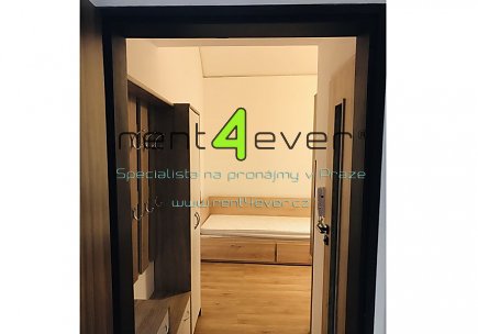 Pronájem bytu, Smíchov, Na Laurové, suterénní byt 1+kk, 16 m2, po kompletní rekonstrukci, zařízený, Rent4Ever.cz