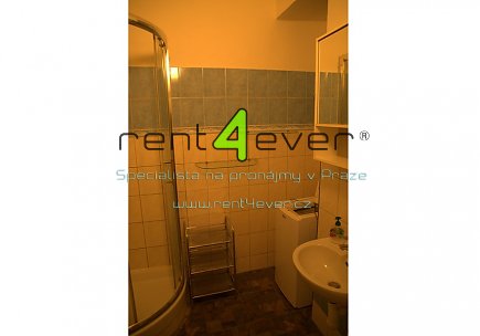 Pronájem bytu, Vinohrady, Lužická, byt 1+1, 40 m2, cihla, zařízený nábytkem, Rent4Ever.cz