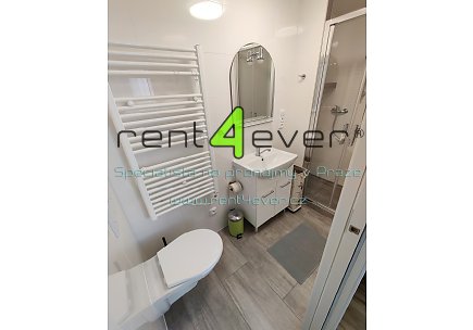 Pronájem bytu, Podolí, Nad Sokolovnou, slunný byt 1+1, 25 m2, po rekonstrukci, v přízemí, zařízený, Rent4Ever.cz