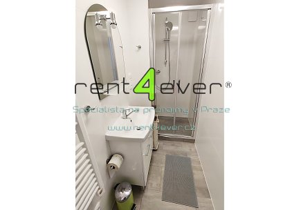 Pronájem bytu, Podolí, Nad Sokolovnou, slunný byt 1+1, 25 m2, po rekonstrukci, v přízemí, zařízený, Rent4Ever.cz