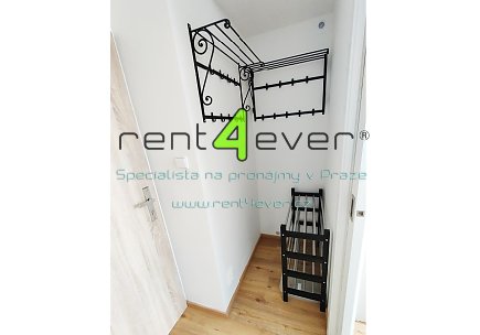 Pronájem bytu, Podolí, Nad Sokolovnou, slunný byt 1+1, 25 m2, po rekonstrukci, v přízemí, zařízený, Rent4Ever.cz