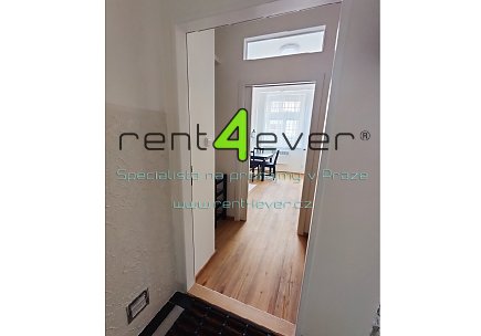 Pronájem bytu, Podolí, Nad Sokolovnou, slunný byt 1+1, 25 m2, po rekonstrukci, v přízemí, zařízený, Rent4Ever.cz