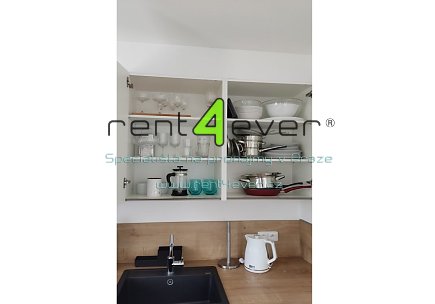 Pronájem bytu, Řepy, U boroviček, byt 1+kk, 38.30m2, novostavba, balkon, sklep, parkování, Rent4Ever.cz