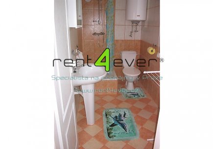 Pronájem bytu, Slapy, pronájem 1/2 domu, jedná se o 2 bytové jednotky 40 m2 a 70 m2, vybavené, Rent4Ever.cz